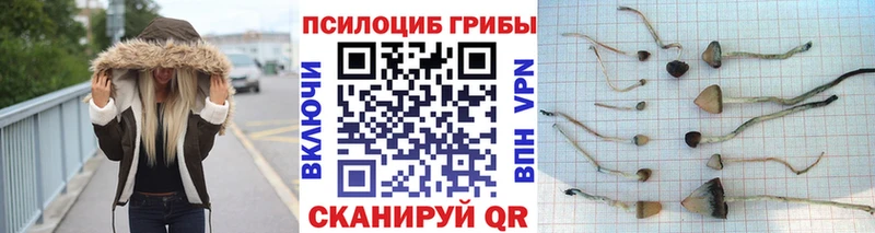 Галлюциногенные грибы прущие грибы Азов