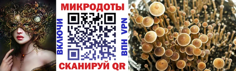 мега как зайти  Азов  Псилоцибиновые грибы Magic Shrooms 